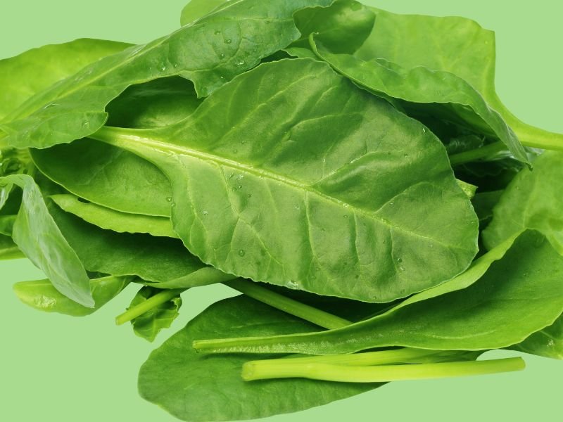 Palak (Trimmed), 250 gms