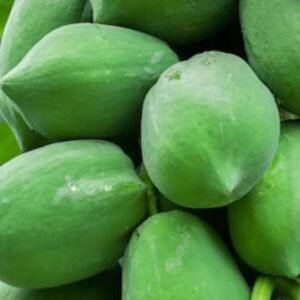 Papaya Raw, 250 gms